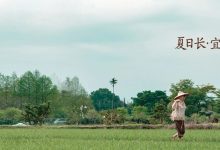 【鲜芋仙】芒一夏，凉一下-羊毛妈妈