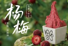 【野人先生】零脂杨梅冰淇淋，应季限时上市！-羊毛妈妈