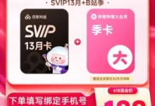 百度网盘SVIP 13个月+b站季卡 低至137元/年-羊毛妈妈