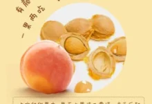 京鲜生新疆吊干杏补货!空运直送8分甜,领券到手仅49.92元-羊毛妈妈