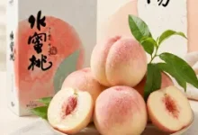 京鲜生阳山水蜜桃12粒礼盒，券后46.81元，6月15日发货-羊毛妈妈